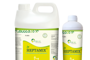 HEPTAMIX (เฮพทามิก)