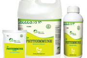 PHYTOIMMUNE  (ไฟโตอิมมูน)