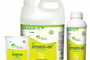 DYSEN-00  (ดิวเซน-00)